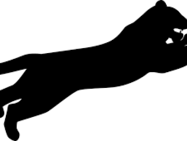 Superheld Black Panther