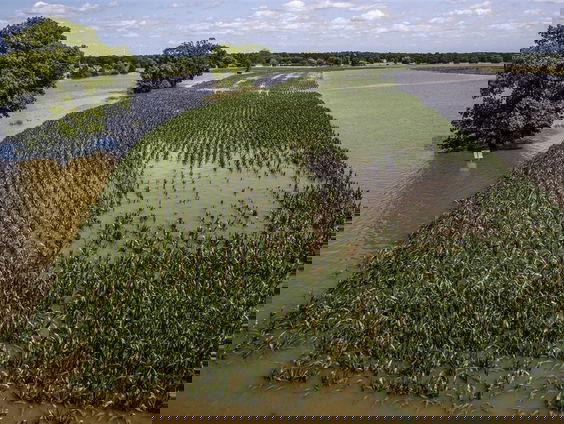 Schade bij Limburgse boeren enorm: 'We verwachten meer dan honderd miljoen euro'