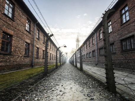 Documentaire: het raadsel van Femme