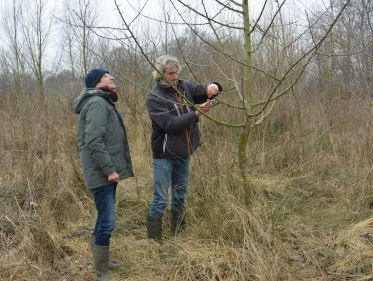 Exotisch voedsel van eigen bodem