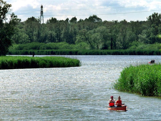 Op de boot door de Biesbosch, de wintervogels worden geteld!