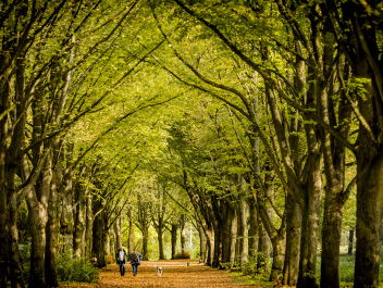 Vraag: Hoe geeft u een draai aan de lege weekenden?