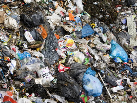 Beperk je afvalproductie: dat doe je zo