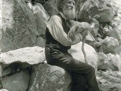 De wildernis van John Muir