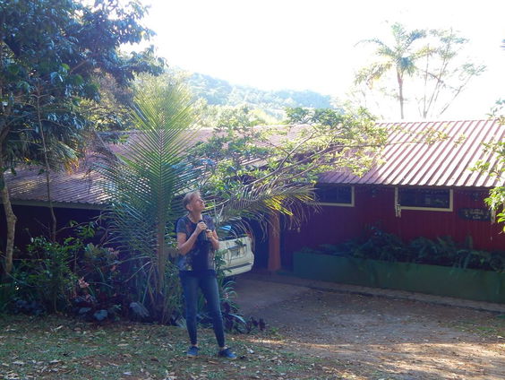 Panama Bos in de wolken