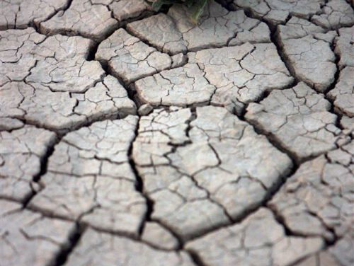 Zilte landbouwgrond biedt kansen voor wereldwijde voedselproductie