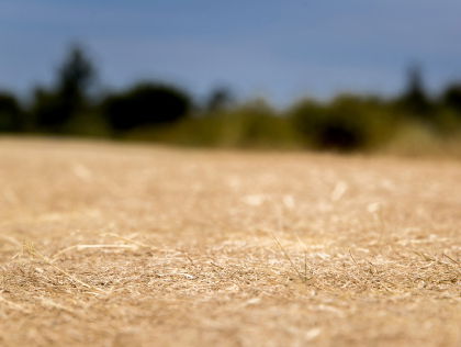De strijd tegen de droogte van de waterbestrijders