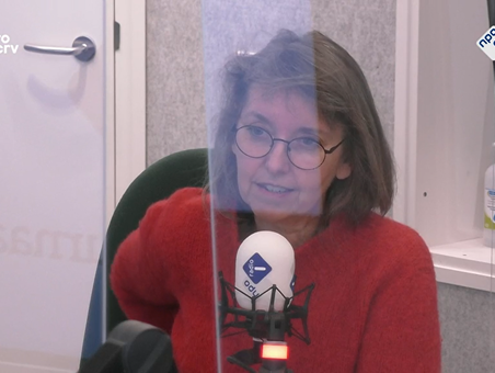 Het Taalnieuws met grindzinnen. Grindzinnen?