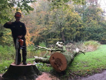 Eens Vandaag: de bomenkapper als moordenaar
