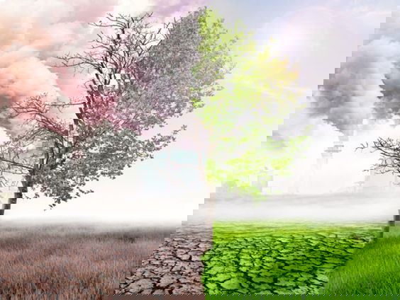 ExxonMobil voorspelde de opwarming van de aarde, maar bleef er twijfel over zaaien