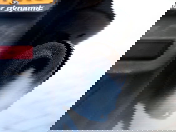 Gezondheidsraad waarschuwt voor schadelijk effecten van ultrafijnstof