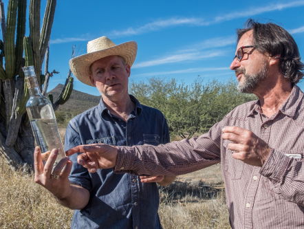 Mexicaanse Mescal en de muur van Trump
