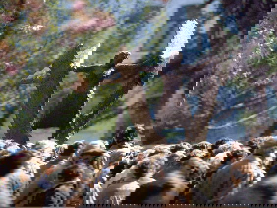 Waarom het belangrijk is dat wij Hannie Schaft blijven herdenken