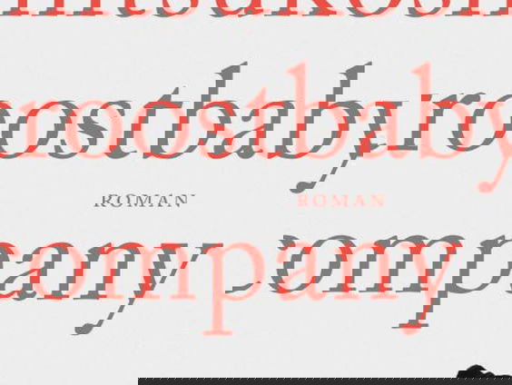 De Mitsukoshi Troostbaby Company