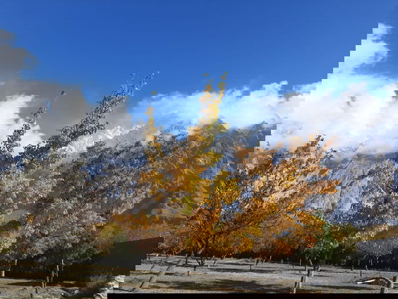 Hoe massatoerisme het Pakistaanse hooggebergte bedreigt