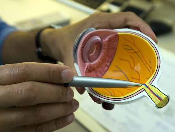 Ik zie, ik zie, wat jij niet ziet (letterlijk)