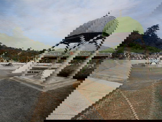 Gezocht: Dutchbatter Theo