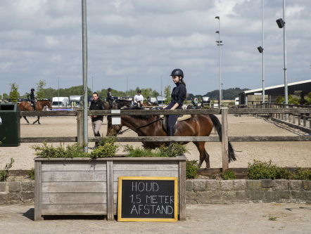 Sporten in coronatijd: paardensport