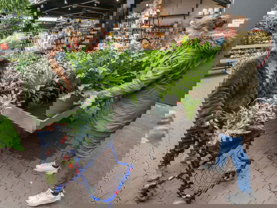 Recordjaar voor tuinbranche, consumenten massaal de tuin in tijdens corona