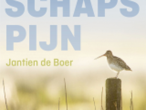 'Ik voel pijn als ik naar ik naar het landschap kijk'