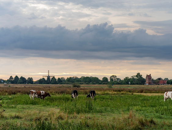 De boer kan geen kant op (maar laat zich ook niet opkopen)