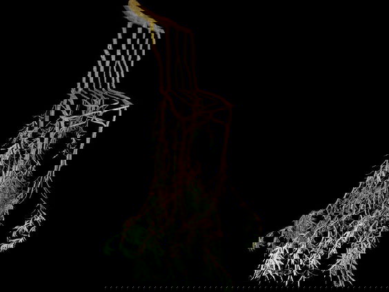 'Design by nature', De natuur helpt ons onszelf te redden