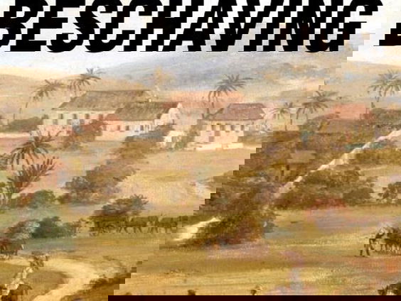 Karwan Fatah-Black: 'Slavernij zou geen gevoelig onderwerp moeten zijn'