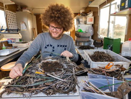 Auke-Florian Hiemstra over de meerkoet