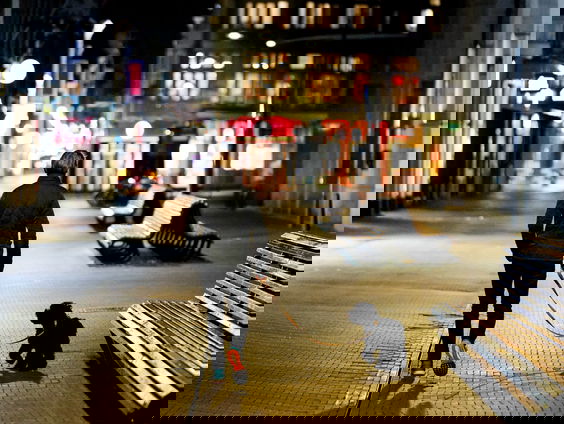 Hondenbond: 'Vuurwerkverbod strenger handhaven'