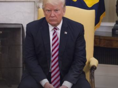 Tom Kleijn en Eric Janse de Jonge over Donald Trump