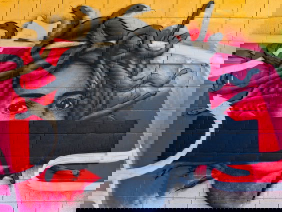 Wat houdt nacht dj Luc Sarneel bezig?