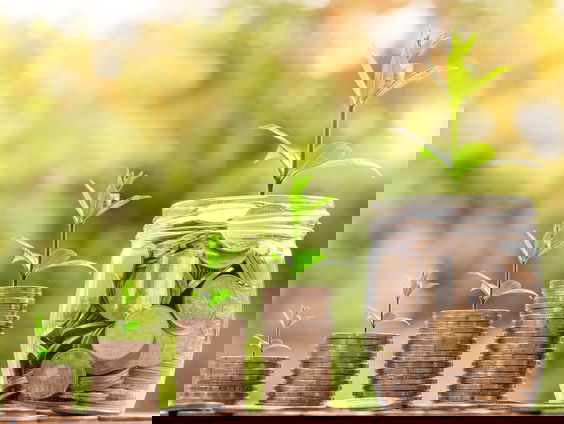 Stand.nl: '10.000 euro voor 18-jarigen is een verstandig idee'