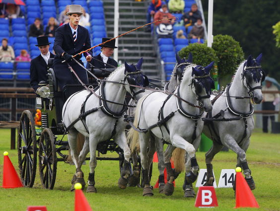 Bram Chardon over vierspanrijden