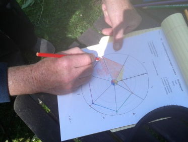 Liefde voor vogels in een ornithogram