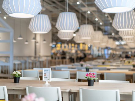 Massaal naar de Ikea: waarom?