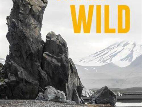 Lezen in het Donker met Jaco Benckhuijsen