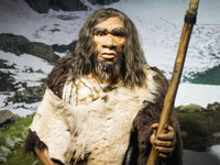 Neanderthalers 60.000 jaar geleden al bij de tandarts