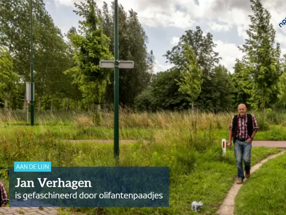 Een fascinatie voor olifantenpaadjes