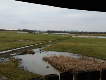 Reinout Meijer op zoek naar rust