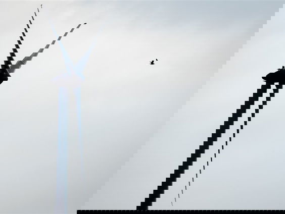 Hoe gevaarlijk zijn de wieken van een windmolen?