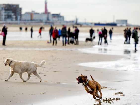 De avondklok is er nog niet, maar mensen proberen hem al te omzeilen