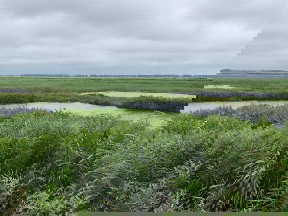 De Korendijkse Slikken zijn weer nat