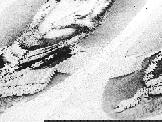 Een vergeten revolutie en wat die ons kan leren