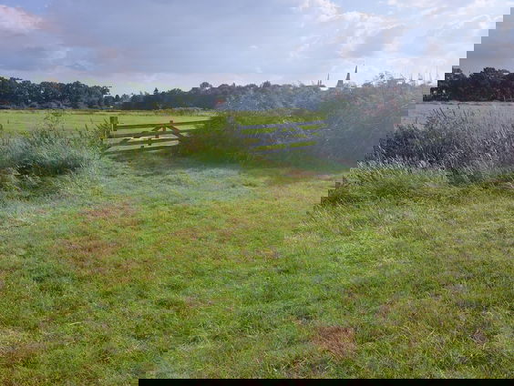 Rijksvastgoed over Volencampen