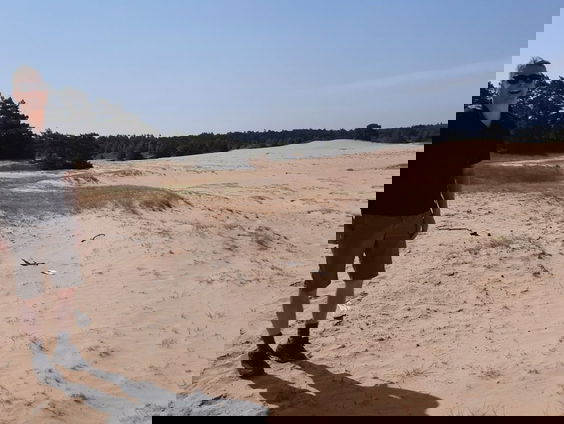 De dynamiek van stuifzanden