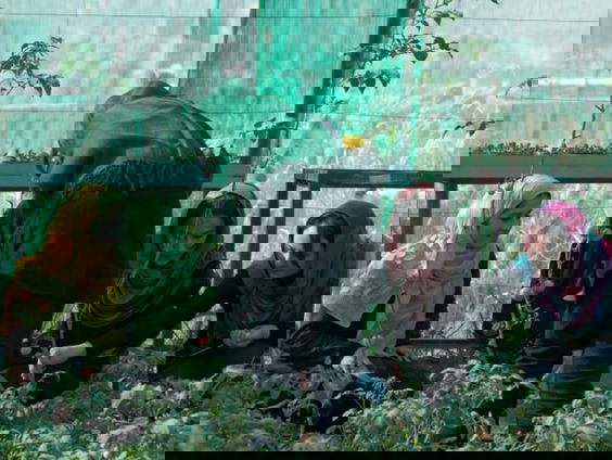 Subsidie landbouwonderwijs Afghaninstan stopt