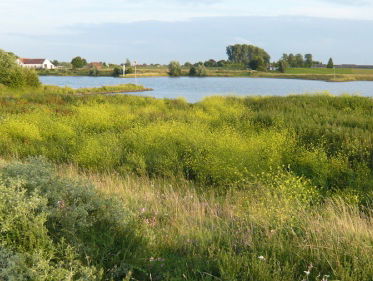 25 jaar Blauwe Kamer, 25 jaar Natura 2000