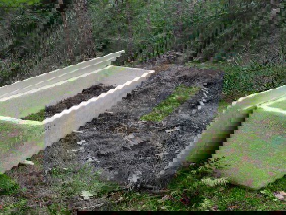 Steeds meer vraag naar 'levende doodskisten'