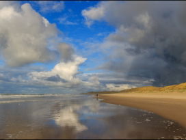 Strandnatuur moet nu echt op de kaart!