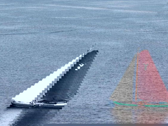 Elfstedentocht in vier dagen met skûtsje en oude trektechniek